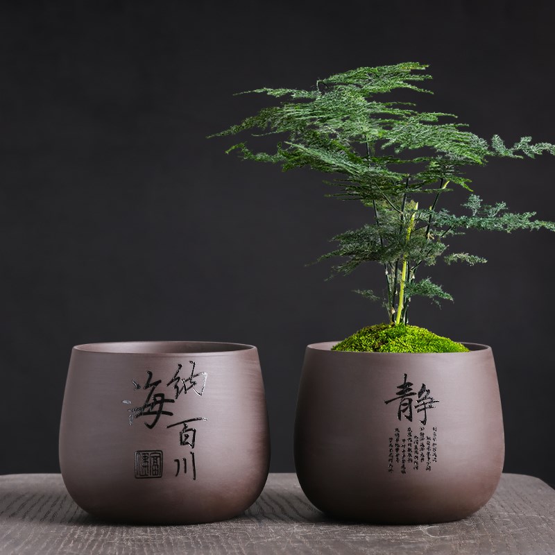 中式紫砂文竹盆栽家居办公室四季好养绿植物花盆桌面装饰花卉盆景