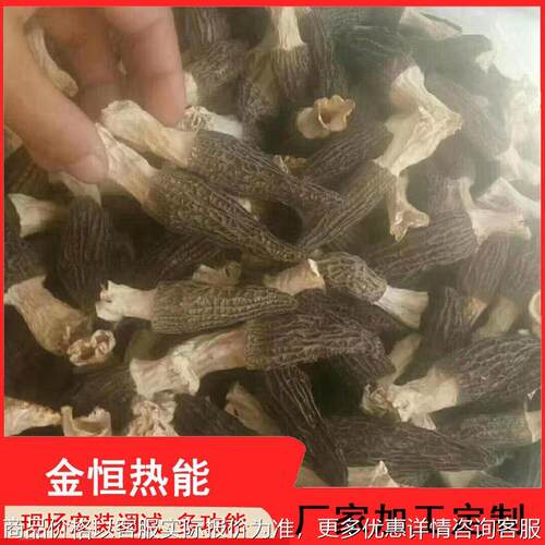 农产品烘干箱电加热香菇烘干房产量大蔬菜脱水干燥设备