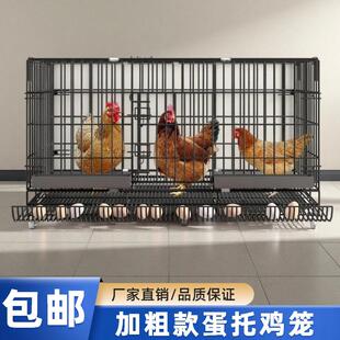 室内外自动滚蛋笼加粗鸡笼养殖笼带厕所室外铁丝鸭鹅全套加密鸡笼