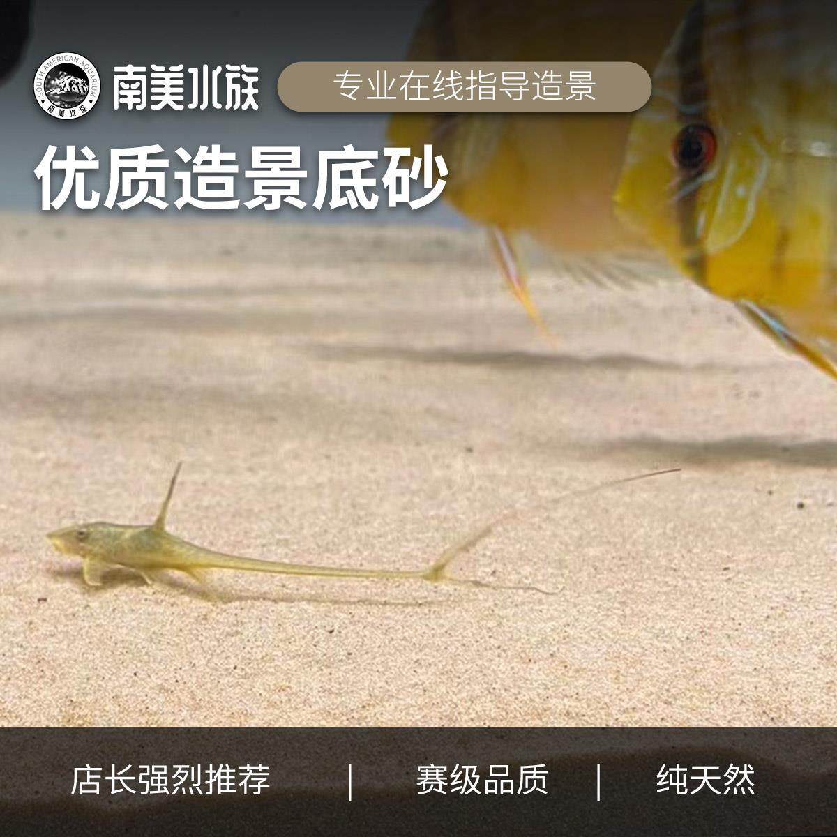 底沙底砂化妆沙鼠沙草缸三湖鱼缸造景天然原生免洗沙南美水族造景