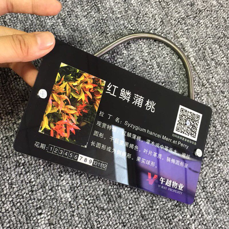 花草牌亚克力树牌植物绿化标识志牌树木介绍挂牌木广.告牌定制做
