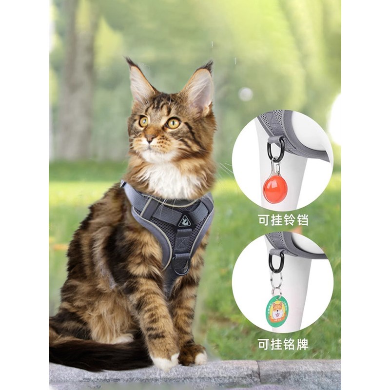 缅因猫牵引绳防挣脱外出专用猫咪B绳子背心式遛溜猫神器胸背可调