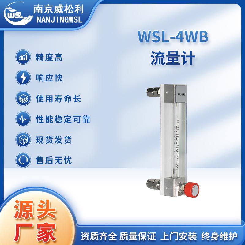 南京工厂直销WSL-4WB流量计玻璃转子流量计高精确度稳定流量计