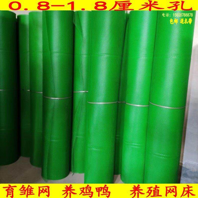 绿色塑料平网加厚养殖漏粪网床鸡鸭鹅脚垫网格片养鱼防护网育雏网,五金/工具,安全网,淘宝优惠券,粉丝福利购,淘宝优惠卷