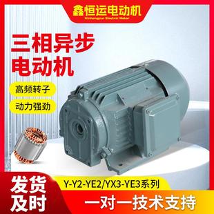 2级YE2三相异步电动机YE2 交流小型起重机用电机厂家 100L 2立式