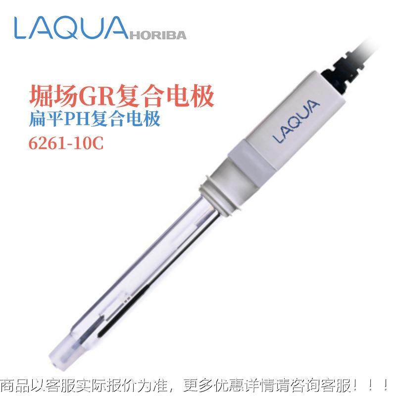 热销本进口日6069-10C堀6069-0C 61261场-10C原装通用电导率电极,五金/工具,工业环境监测系统,淘宝优惠券,粉丝福利购,淘宝优惠卷