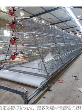生全动肉产鸡笼 层叠式 框架EPV肉自现鸡笼养殖设备 常年出口 货