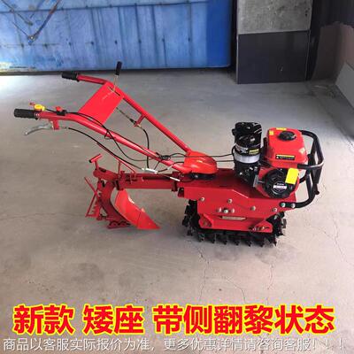 链型汽油DLH单履带翻耕小地机 小红牛大马力开荒耕地机 单轨翻地