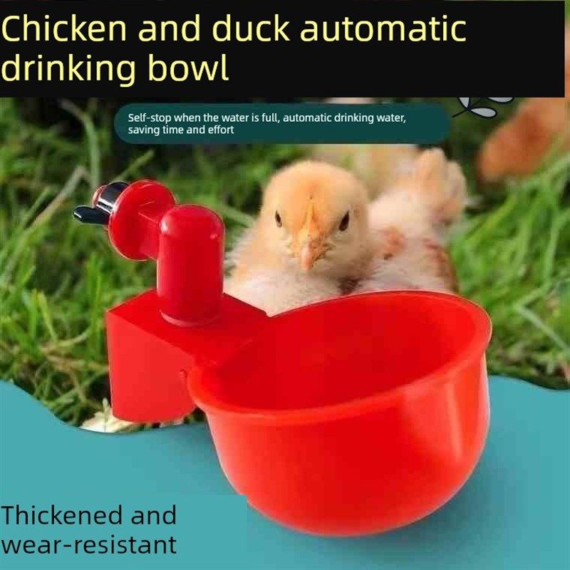 鸡鸭鹅家禽自动喂水器养殖专用水桶鸭鹅喂鸡自动饮水器鸽子饮水碗,宠物/宠物食品及用品,鸟禽喂食器/喂水器,淘宝优惠券,粉丝福利购,淘宝优惠卷