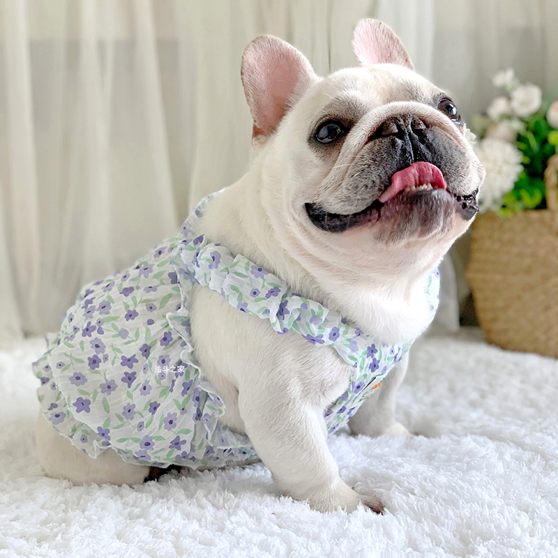 法斗小裙子糖果裙纱裙淑女公主风短体斗牛犬狗狗衣服吊带裙胖狗