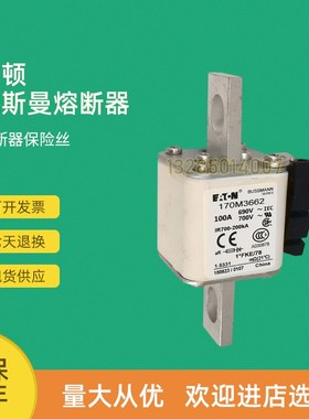 全新快速熔断器保险170M3691 170M3692170M3693