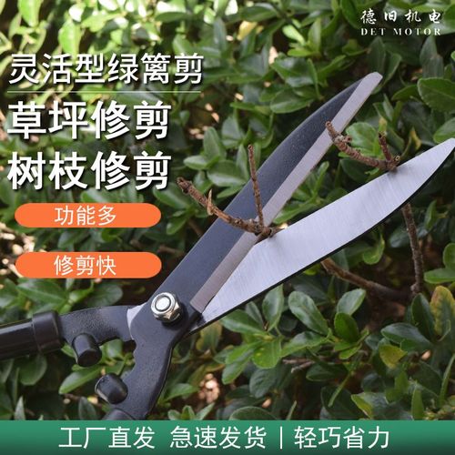 园林花木修剪绿篱剪园艺修枝剪篱笆K果剪树枝庭院剪刀省力
