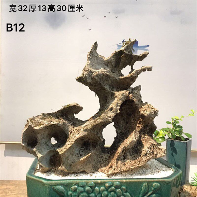 广西天然太湖石,盆景附石,C鱼缸景观石,天然太湖石摆件