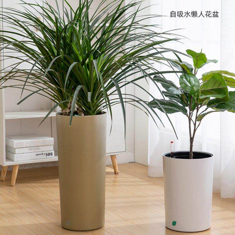 宜植堂北欧简约高直筒花盆细高型高款懒人自动吸水红掌白掌水培盆
