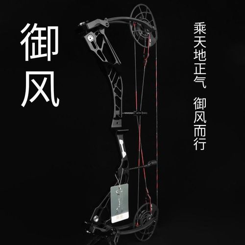 御风复合弓猎弓射准竞技比赛专用弓箭射箭滑轮弓箭配件高端复和弓