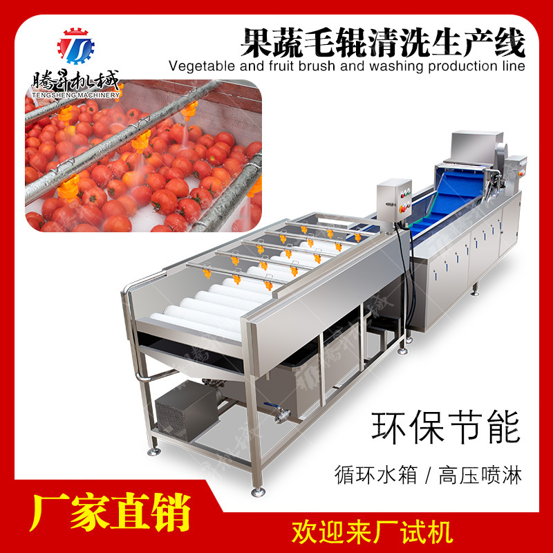 果蔬清洗加工线 全自动高压喷淋流水线 气泡清洗清洗设备厂家供应