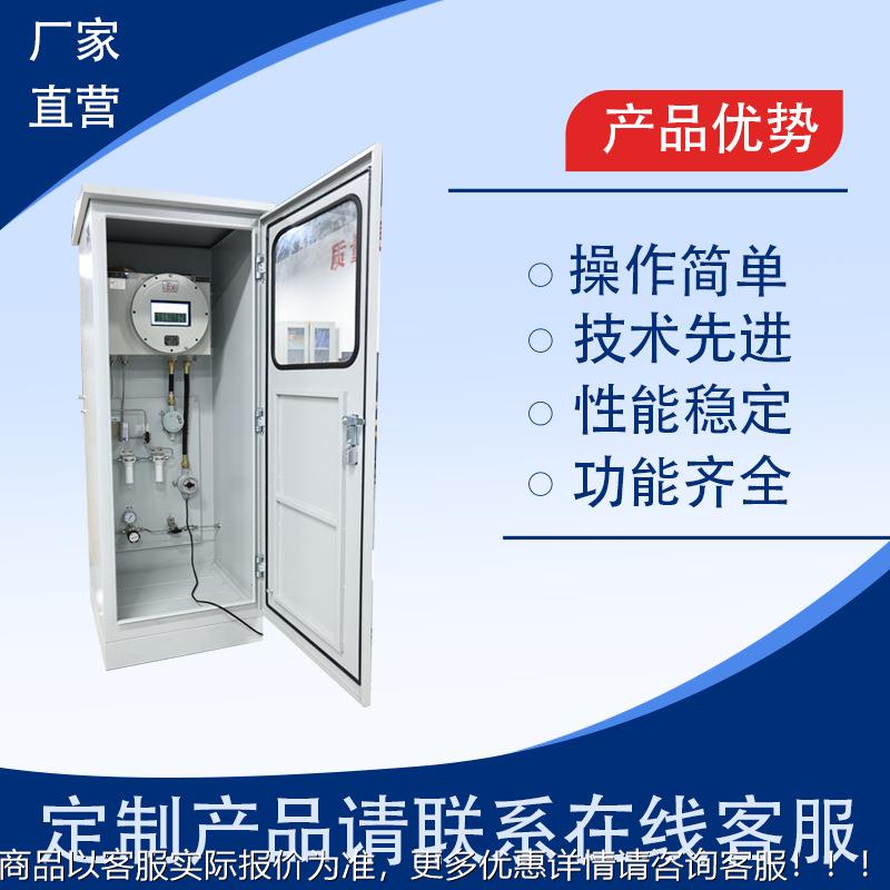 工业管防爆硫化RL-607氢在系2线监测分析道统 HS浓度分析仪 测量