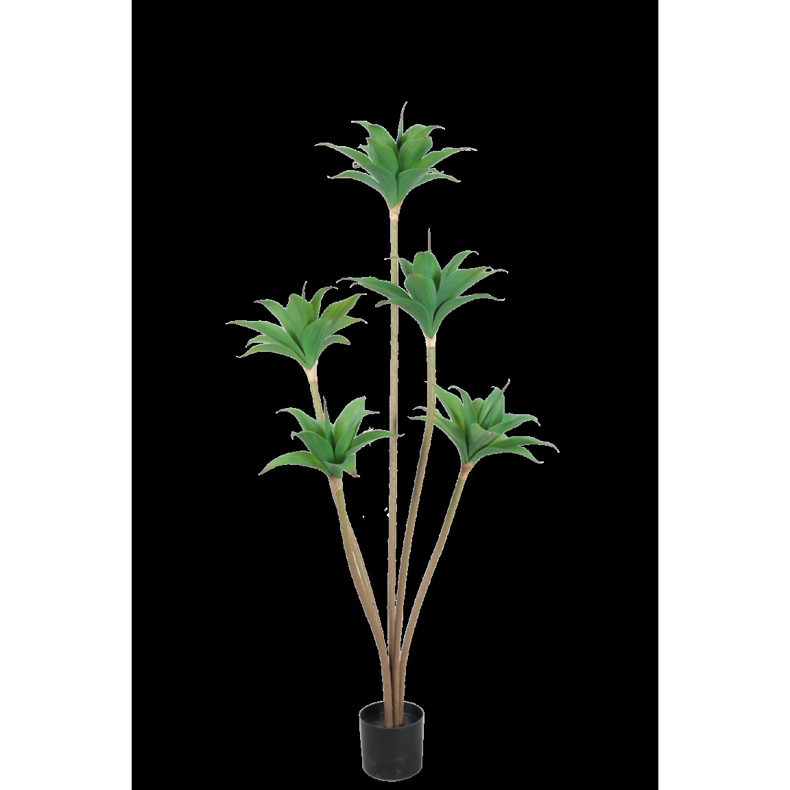 仿真皇冠兰热带旱莲家用落地盆栽装饰塑料绿植厂家直销造景植物