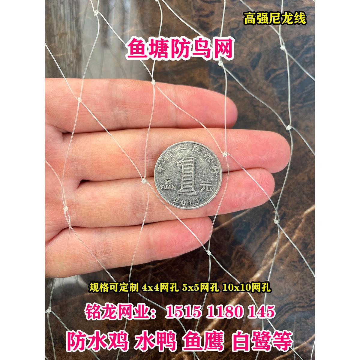 鱼塘防鸟网泥鳅塘天网养殖网牛蛙网大网眼尼龙综丝纱网防鸟用的网