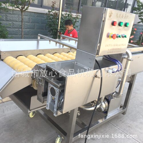 蔬菜毛发去杂清洗机 不锈钢水果喷淋清洗机 毛辊清洗机厂家直销