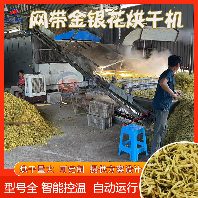 连续式金银花烘干机 山银花野生金银花茶烘干设备 二花忍冬干燥机