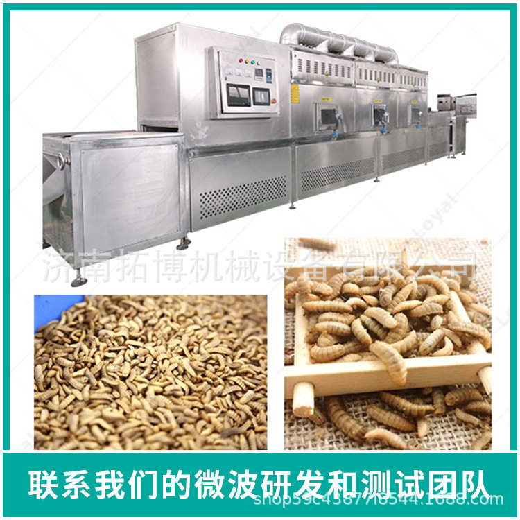 黑水虻烘干设备米线年糕食品微波机