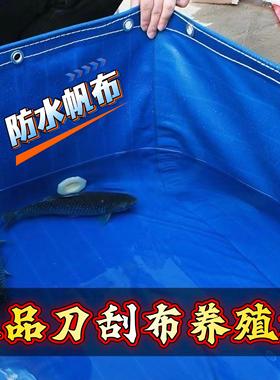 帆布水池鱼池游泳池水箱蓄水带支架水产养殖池刀刮布鱼池加厚耐磨