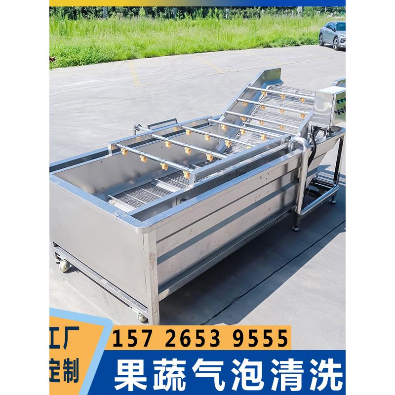 全自动果蔬气泡清洗机商用蔬菜洗菜机海参水果清洗风干流水线