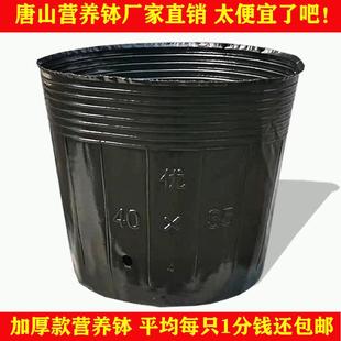 加厚营养钵育苗钵育苗杯育秧盆花盆营养杯大号黑色塑料一次性装土