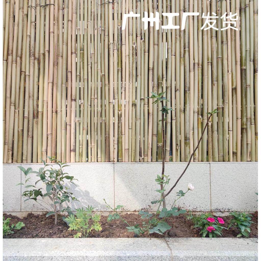 广东包邮防腐竹竿花园竹围栏户外竹篱笆隔断竹墙成品易安装
