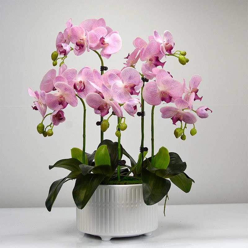 蝴蝶兰彷真花新款手感兰花盆栽假花绢花客厅餐桌现代装饰花艺摆件