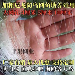 鱼塘防鸟网4厘米5厘米网眼10公分大网孔池塘泥鳅青蛙龙虾养殖天网