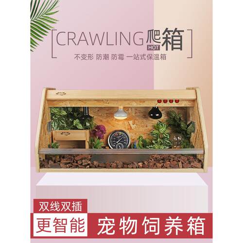 宠物箱爬行动物乌龟鬃狮角蛙蜥蜴刺猬蛇爬行动物宠物繁育箱乌龟爬