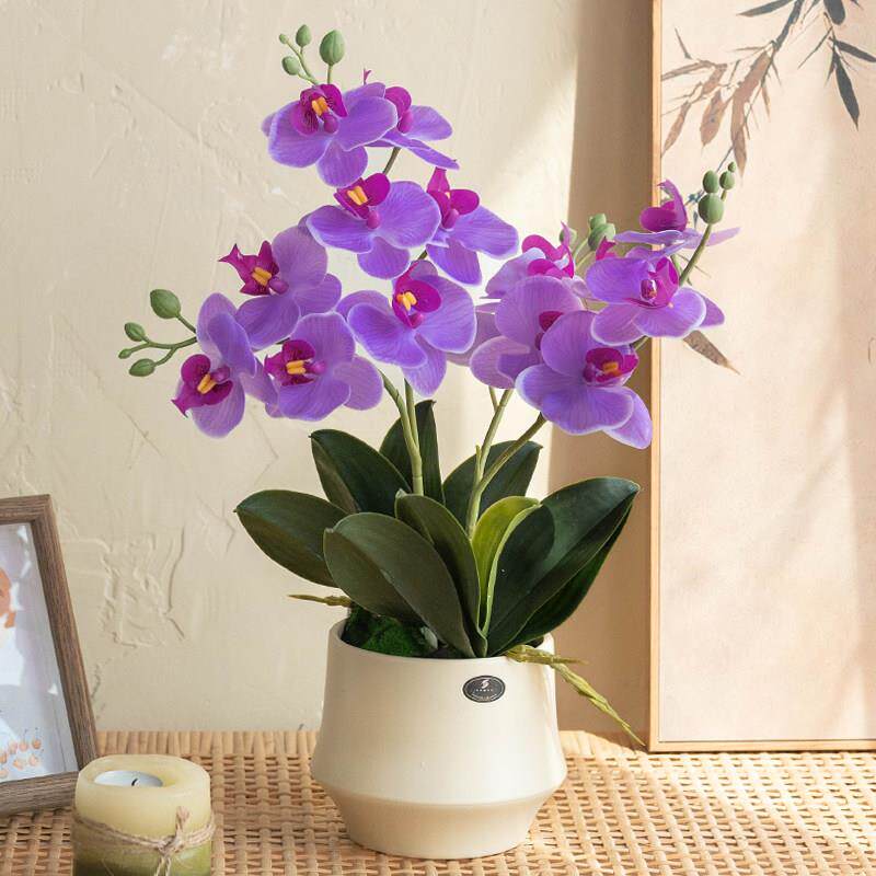 粉色蝴蝶兰彷真盆栽套装绿植花艺室内家居装饰精致优雅摆件