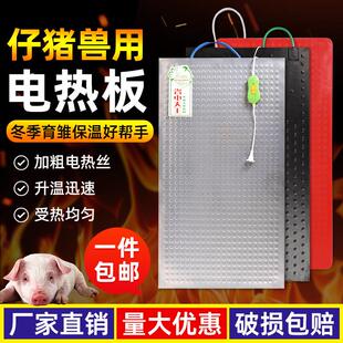 仔猪加热板兽用不锈钢加热板养殖场母猪产床发热板保温箱用保温板