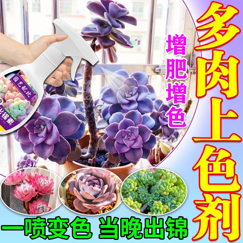 多肉上色剂出锦药水多肉变色药水增色宝剂多肉药锦专用肥料营养液
