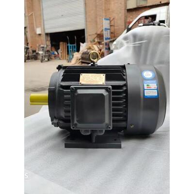 YE2/YE3三相异步电动机11KW YX3-160M1-2 11/15/18.5/22KW 全铜