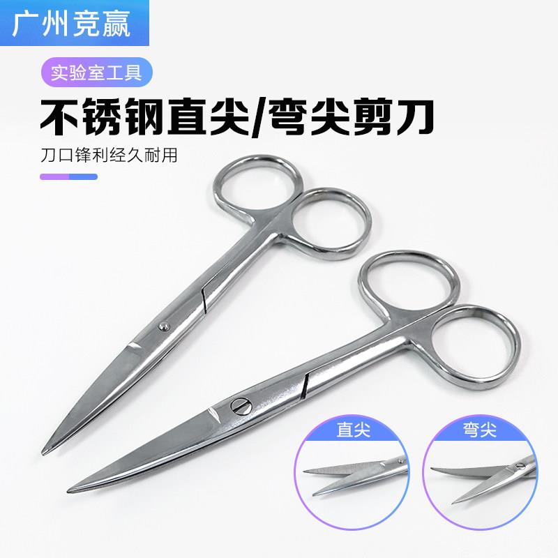 304#不锈钢剪刀直头弯头耐腐蚀实验室电镜耗材工具