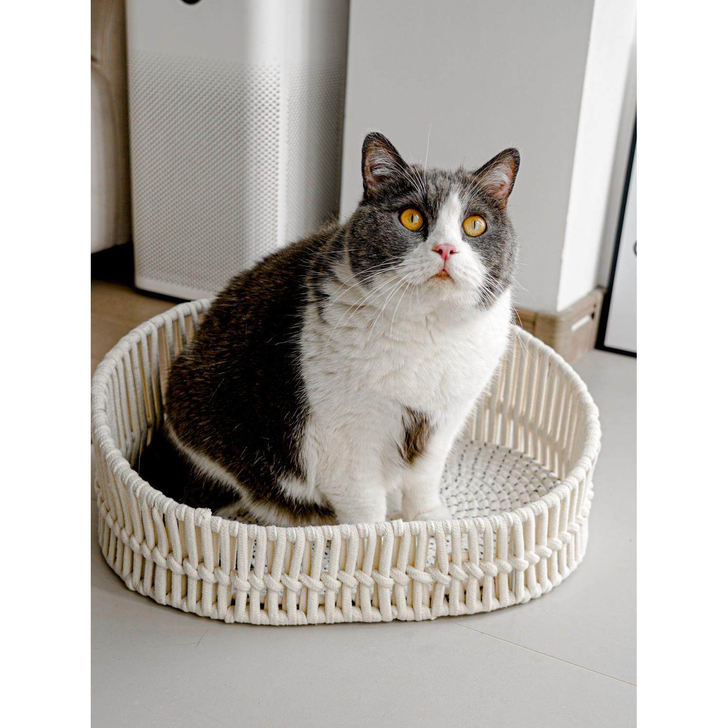 手工棉绳编织牢固不塌棉麻猫窝结实耐用简约颜值铁艺椭圆形开放式,宠物/宠物食品及用品,猫窝/屋/帐篷/沙发,淘宝优惠券,粉丝福利购,淘宝优惠卷