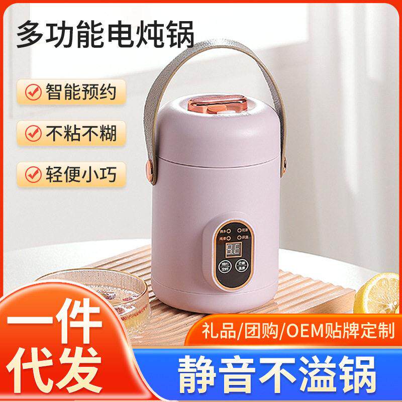 电煮锅迷你炖煮锅便携电汤煲饭家用煲粥专用学生宿舍一体电炖火锅