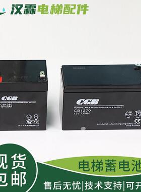 杭西奥电梯救援装置蓄电池松闸电源CGB武汉长光CB1250/1270/1240