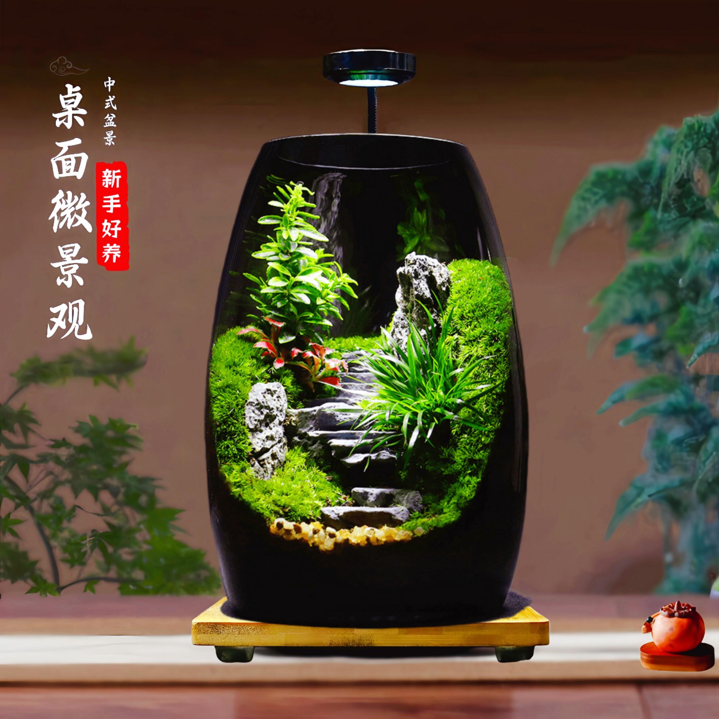苔藓微景观生态瓶造景植物桌面小摆件可养鱼森林青苔雨林生态鱼缸图片