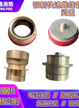 65/80铜制雌雄管牙接头内螺纹公母铜接头消防快速雌闷盖接口2.5寸