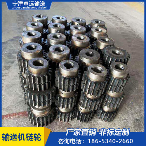 4分不锈钢工业链轮 3分2分10a12a08a链轮单双排520单排小链轮齿轮