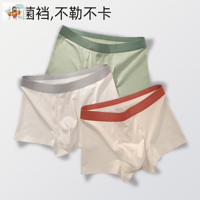 青少年纯棉内裤男孩加肥加大码胖大童15岁L发育期高初中学生短裤1