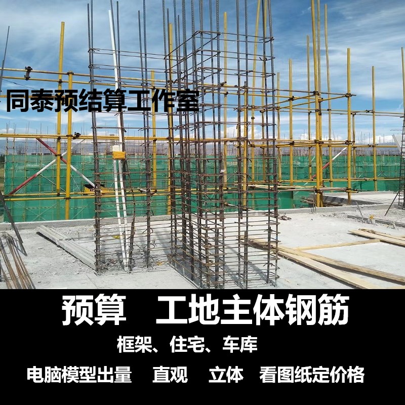 预算主体钢筋量 吨数规格 钢筋粗翻样 用来报价或进料用. 不做结