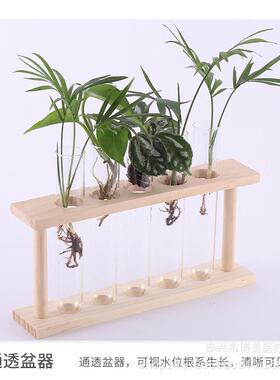 简约北欧工字型原木玻璃绿萝植物水培时尚花器桌面摆台装饰品