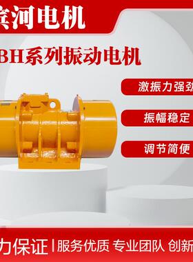 YBH-40-4系列振动电机三相异步震动电机激振力40N