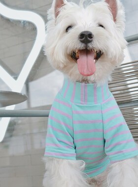 韩系狗狗衣服条纹高领糖果色蓝紫色橙色小型犬西高地法斗