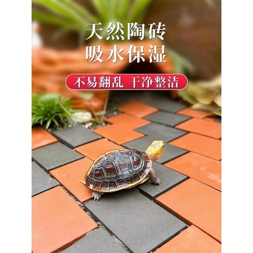 造景砖鱼缸造景砖龟缸龟箱造景砖名龟黄缘龟专用砖鱼缸装饰造景石